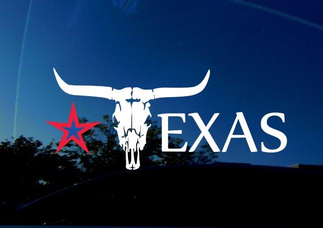 Texas car decal. Featuring longhorn bull skull, and red and blue star.