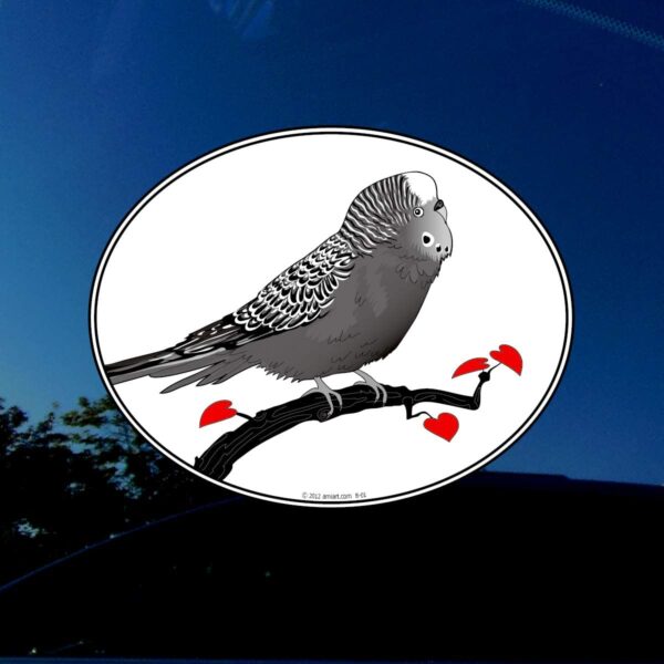 Parrot decal on window.